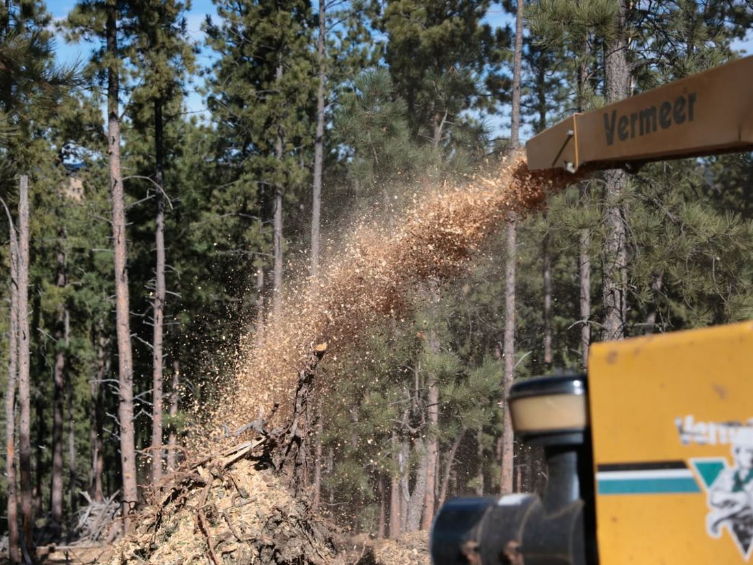 Forestry mulcher clearing land in the pines