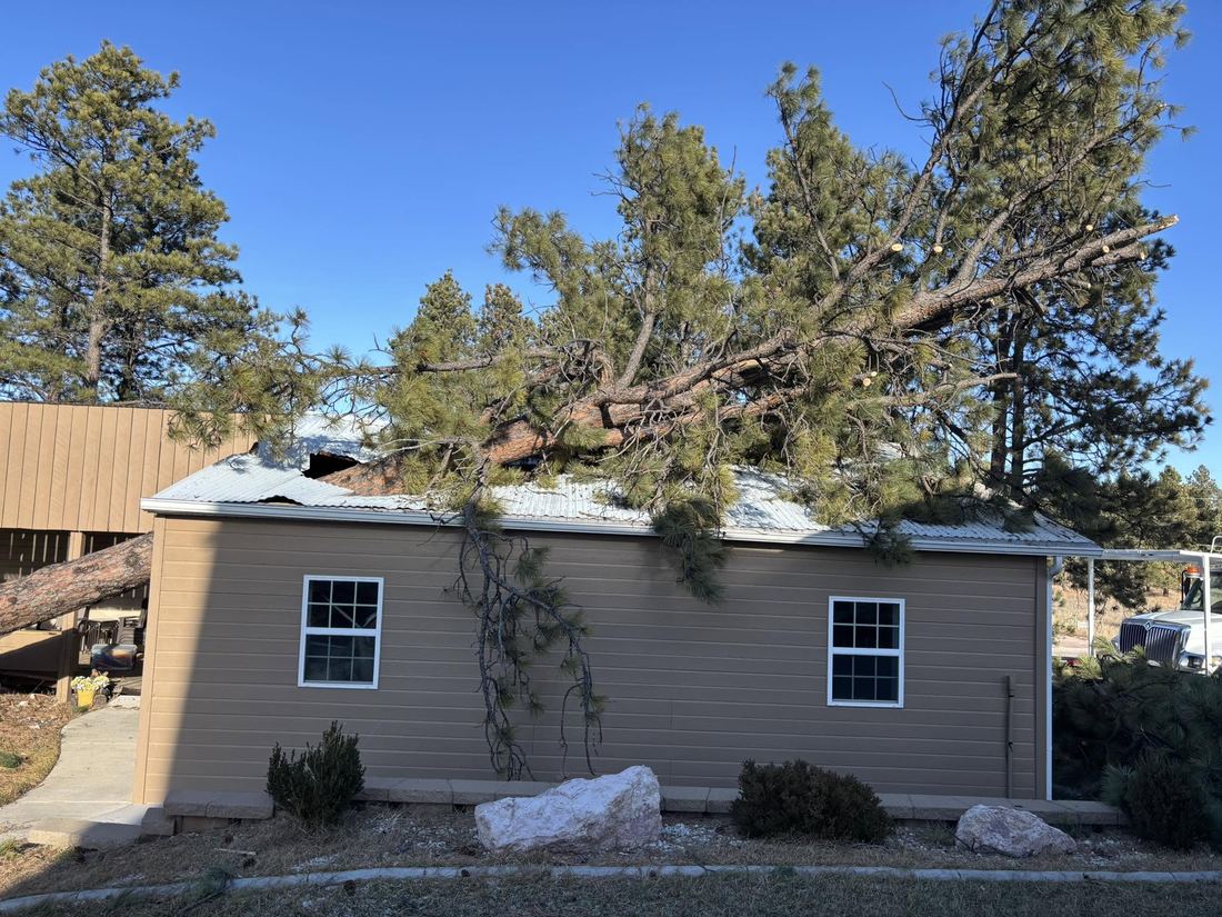 Storm-damaged tree removed from a rooftop after falling